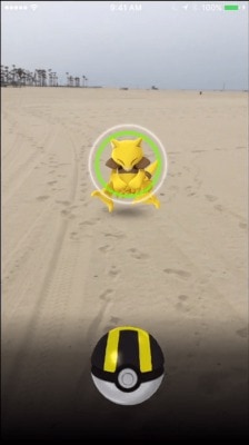 ポケモン捕まえ方