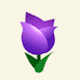 チューリップ＿紫