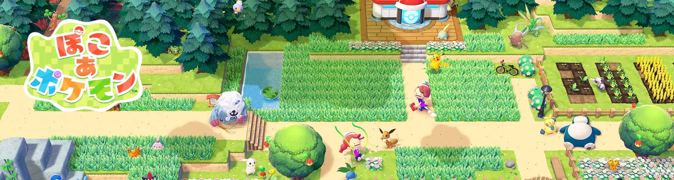 ぽこあポケモン