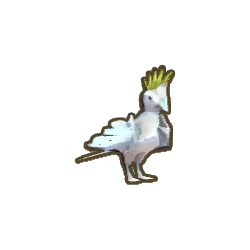 ディンカム_オウム_アイコン