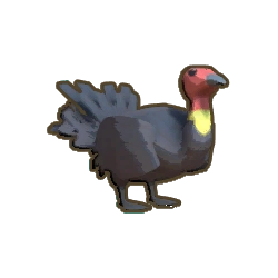 ディンカム_スクラブターキー_アイコン