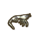 ディンカム_クルマエビ_アイコン