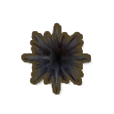 ディンカム_トゲトゲウニ_アイコン