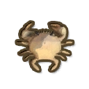 ディンカム_内陸ガニ_アイコン