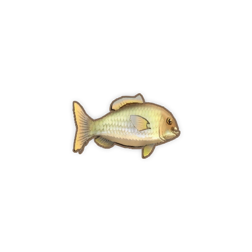 ディンカム_コイ_アイコン