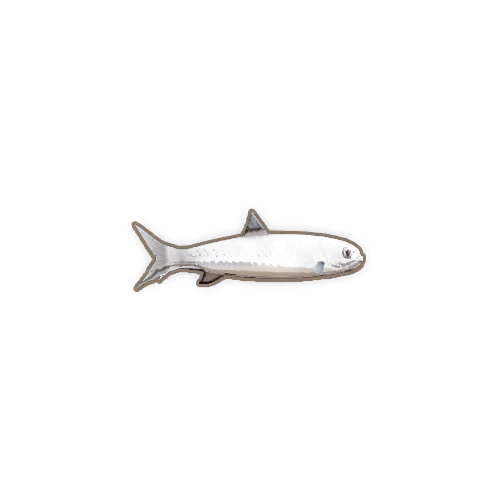 ディンカム_ターポン_アイコン