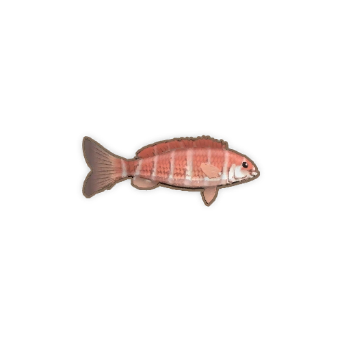 ディンカム_タカノハダイ_アイコン