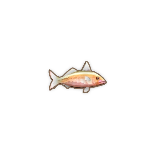 ディンカム_ヒメジ_アイコン