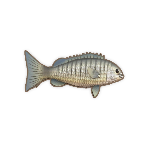 ディンカム_ルデリック_アイコン