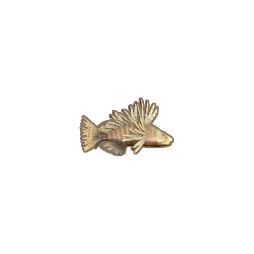 ディンカム_ミノカサゴ_アイコン