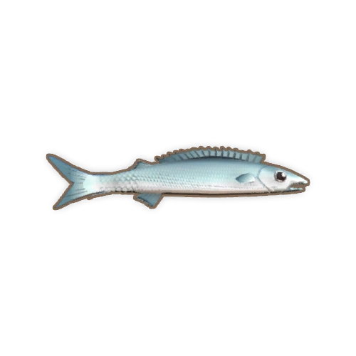 ディンカム_バラクーダ_アイコン