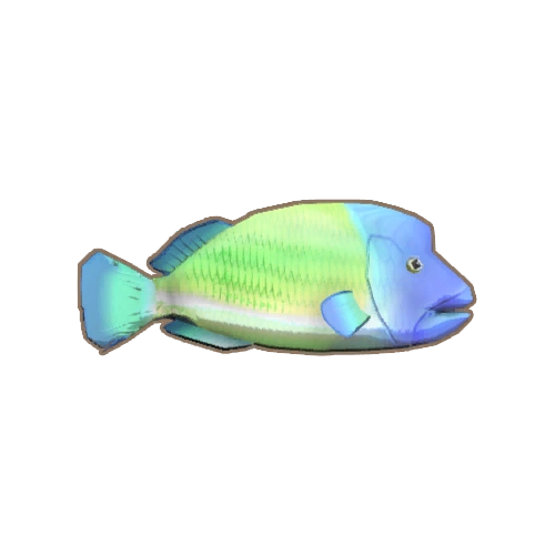 ディンカム_ナポレオンフィッシュ_アイコン