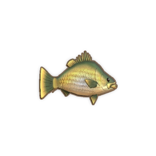 ディンカム_金色のパーチ_アイコン