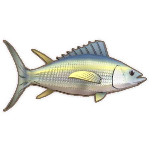 ディンカム_キハダマグロ_アイコン