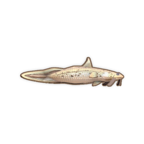 ディンカム_ウナギ尾ナマズ_アイコン