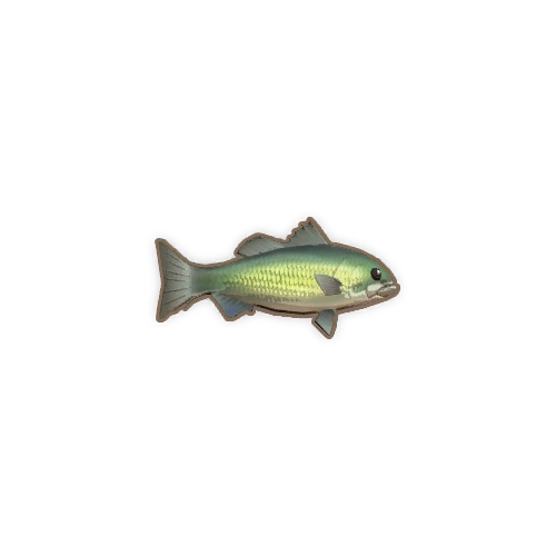 ディンカム_淡水バス_アイコン