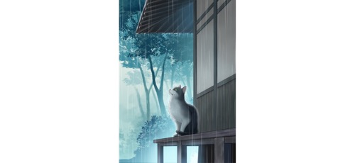 雨宿りする猫の画像