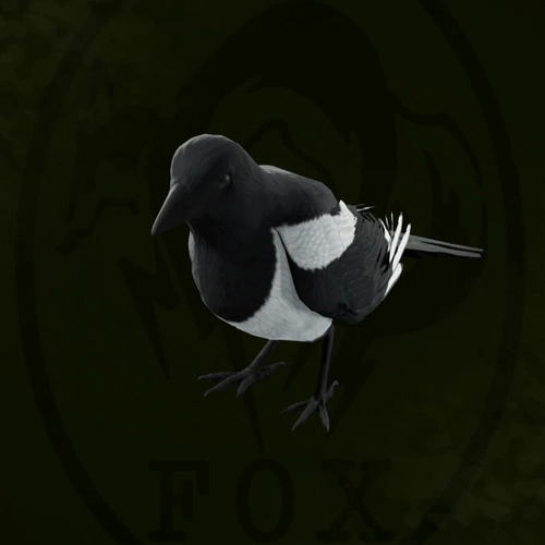 メタルギアデルタ_カササギ_アイコン