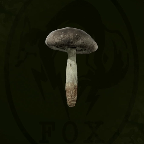 メタルギアデルタ_スパーッツァ_アイコン