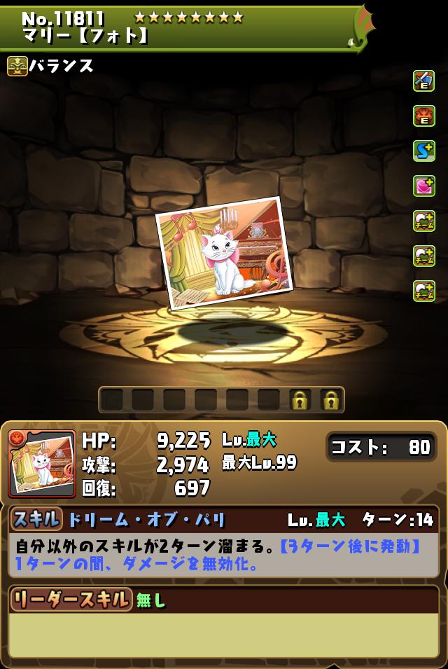 マリー【フォト】_画像