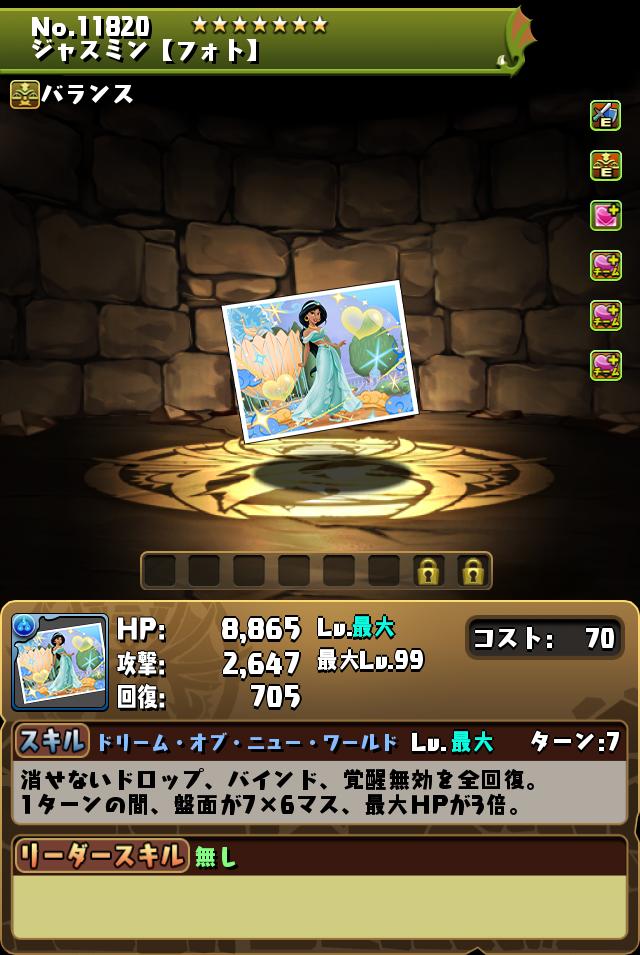 ジャスミン【フォト】_画像