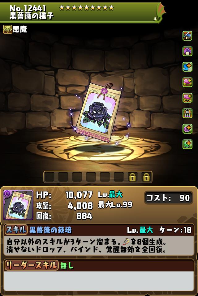 黒薔薇の種子_画像