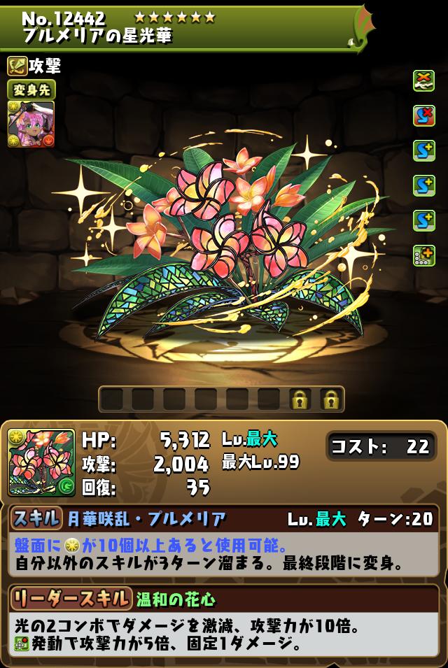 プルメリアの星光華_画像