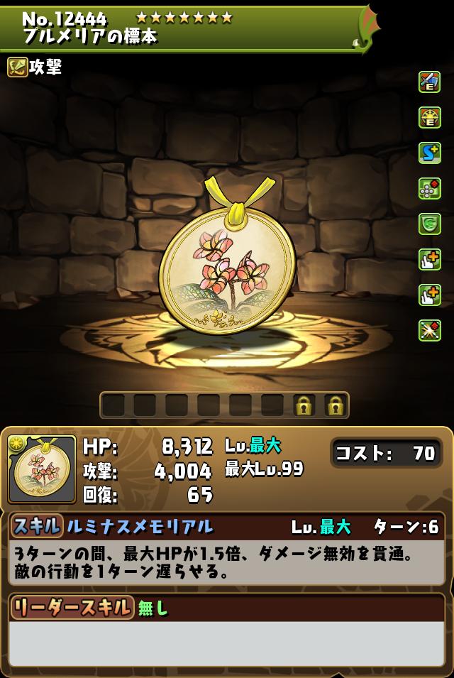 プルメリアの標本_画像