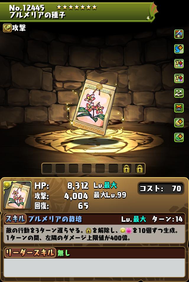 プルメリアの種子_画像