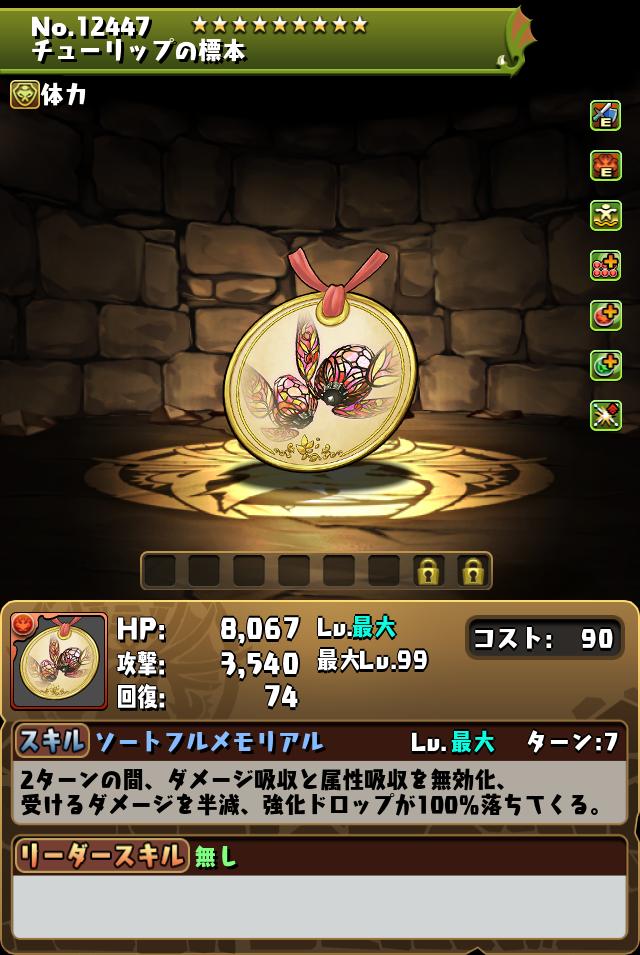 チューリップの標本_画像