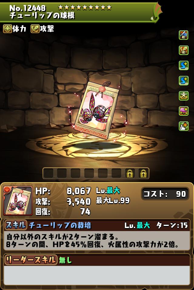 チューリップの球根_画像