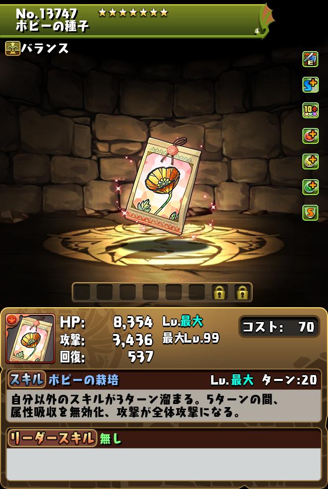 ポピーの種子_画像