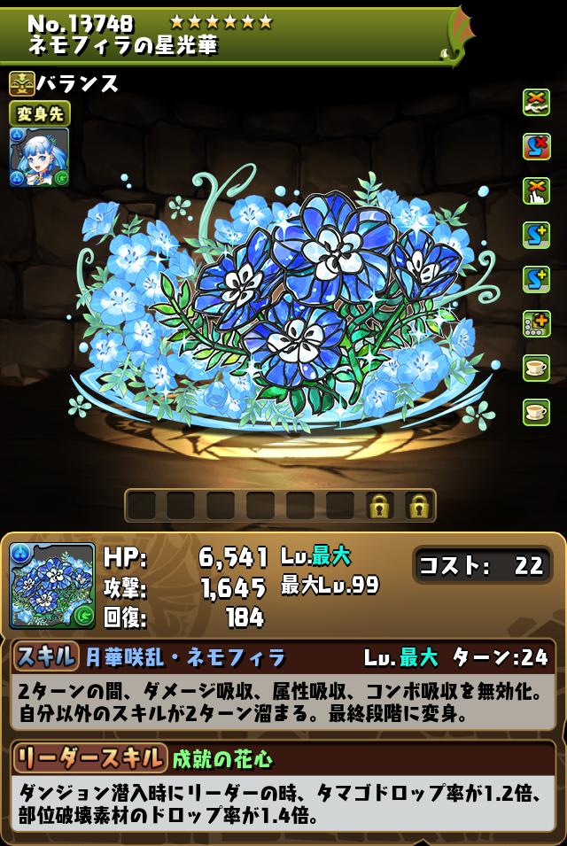 ネモフィラの星光華_画像