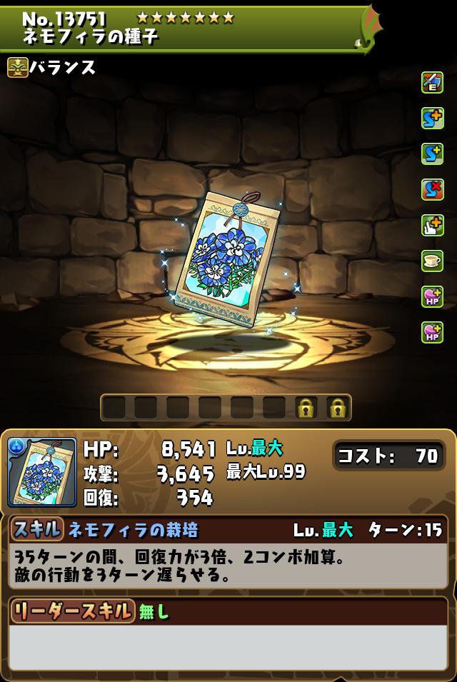 ネモフィラの種子_画像