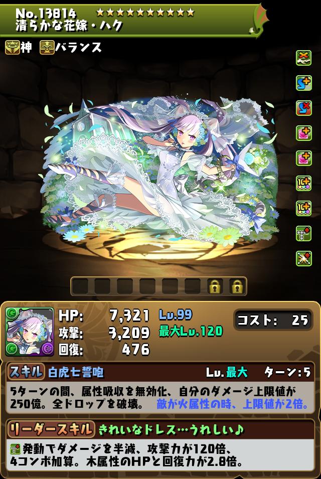 清らかな花嫁・ハク_画像