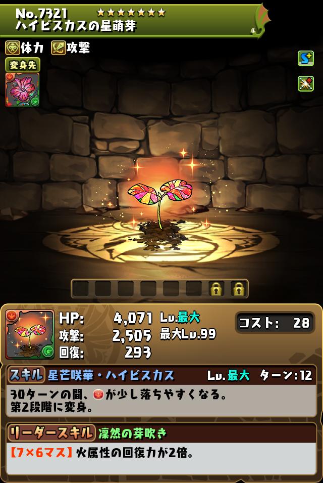 ハイビスカスの星萌芽_画像