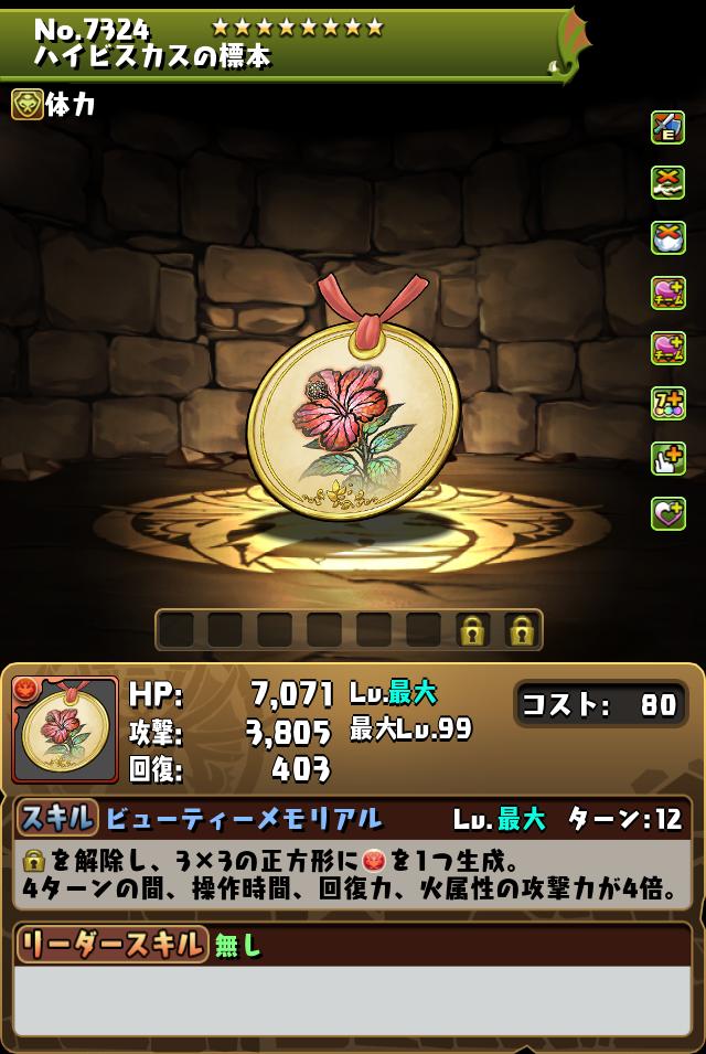 ハイビスカスの標本_画像