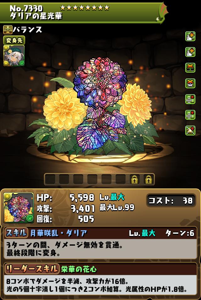 ダリアの星光華_画像