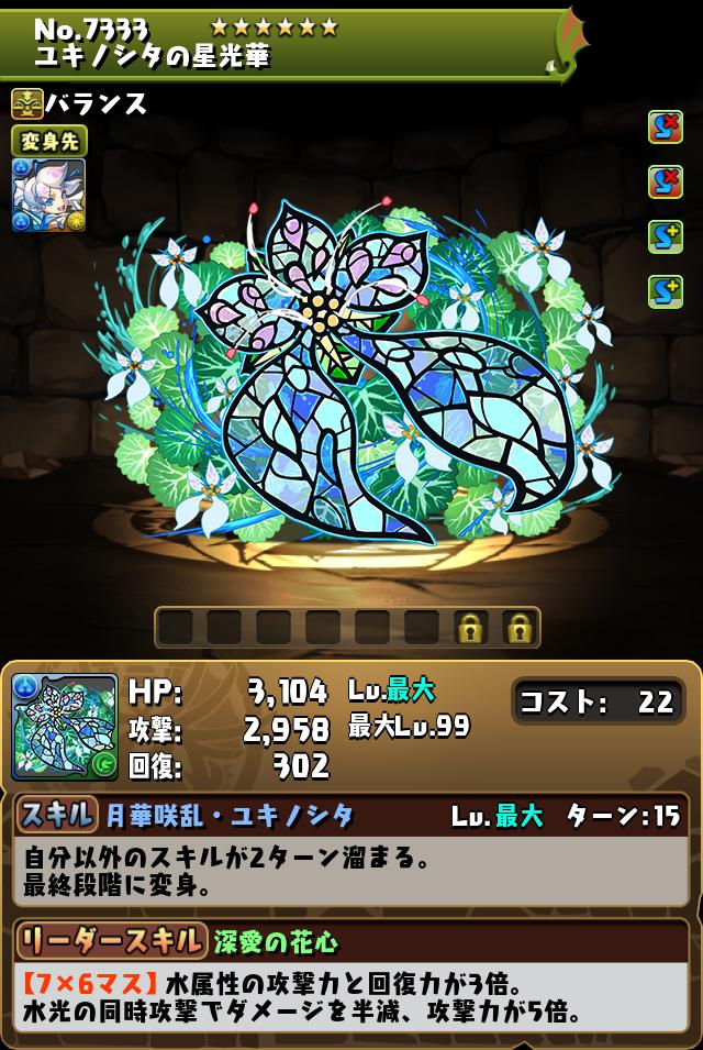 ユキノシタの星光華_画像