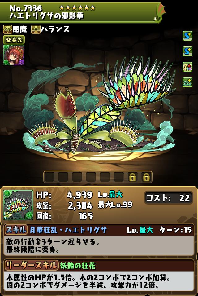 ハエトリグサの邪影華_画像