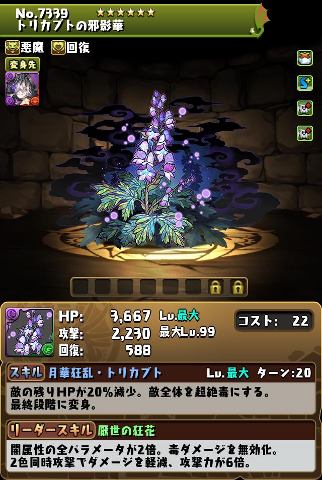 トリカブトの邪影華_画像