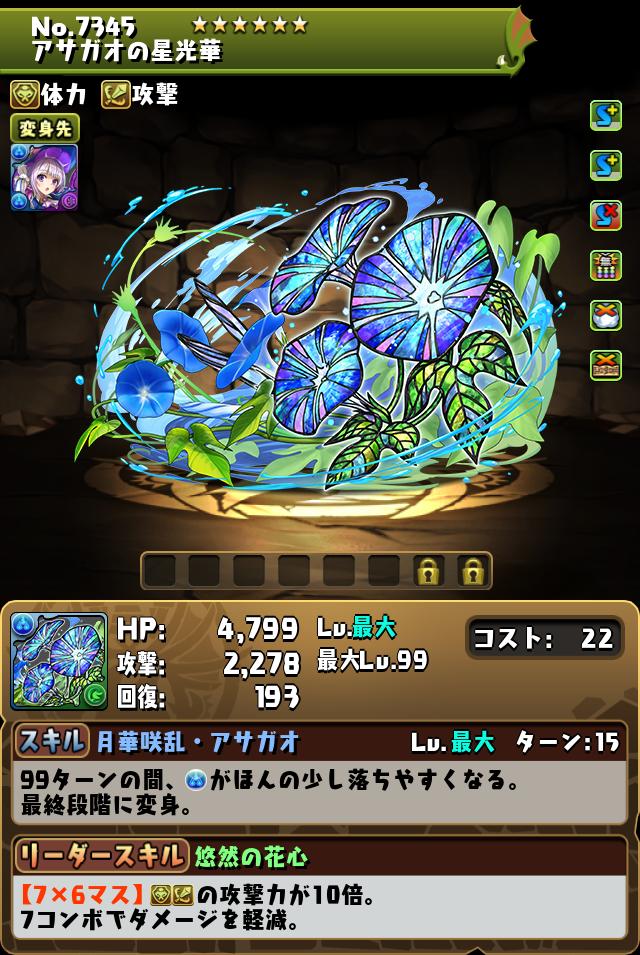 アサガオの星光華_画像