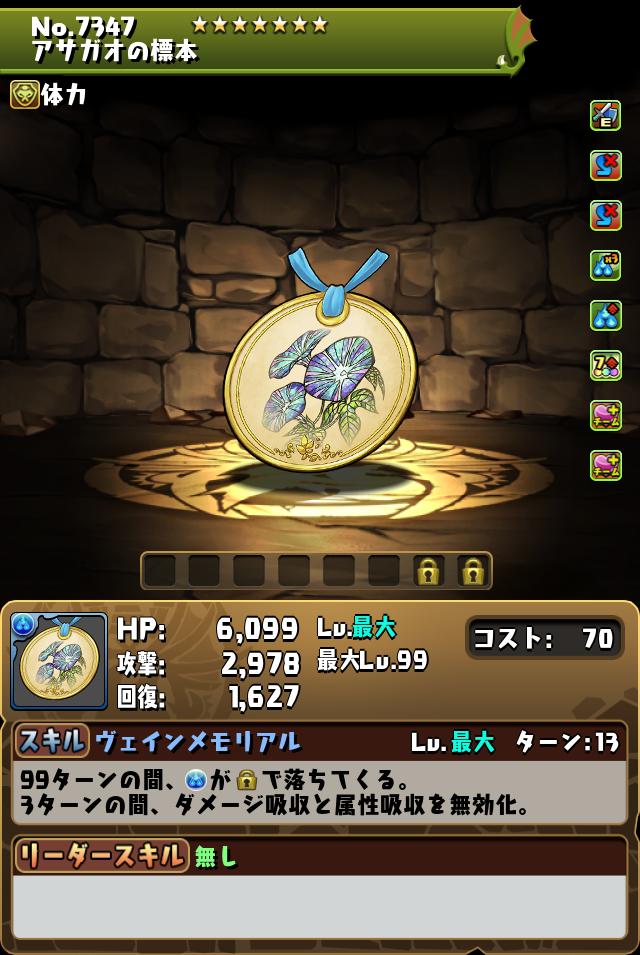 アサガオの標本_画像