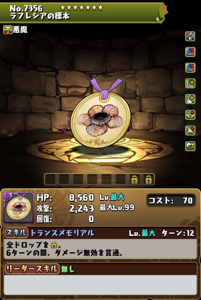 ラフレシアの標本_画像