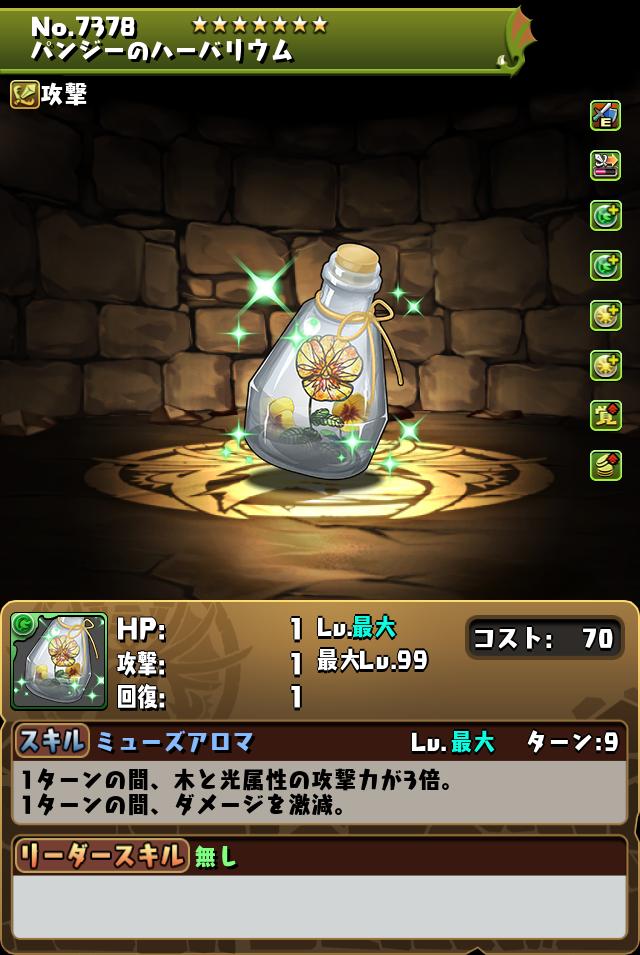 パンジーのハーバリウム_画像