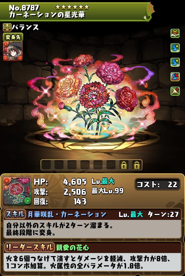 カーネーションの星光華_画像