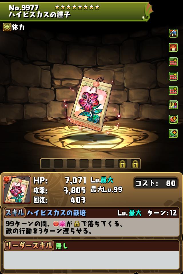 ハイビスカスの種子_画像