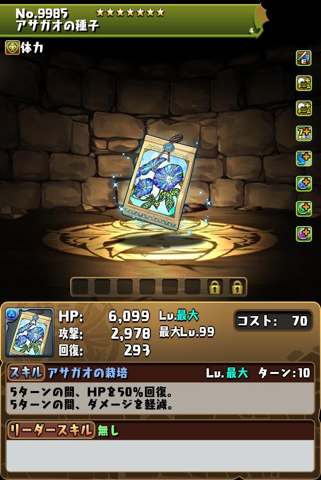 アサガオの種子_画像