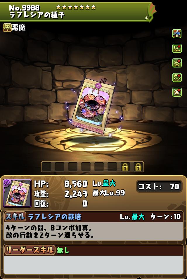 ラフレシアの種子_画像