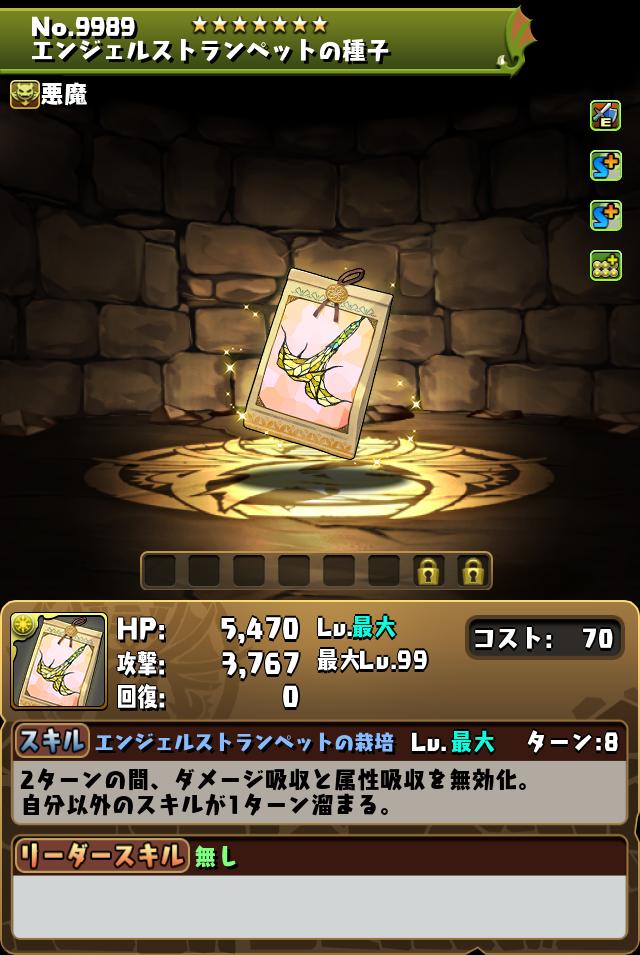 エンジェルストランペットの種子_画像